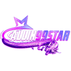 ALLIN99STAR เว็บตรง คาสิโน สล็อต ครบจบ